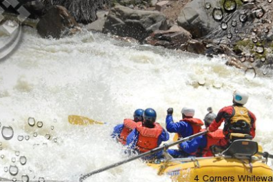 a group of people riding on the back of a boat